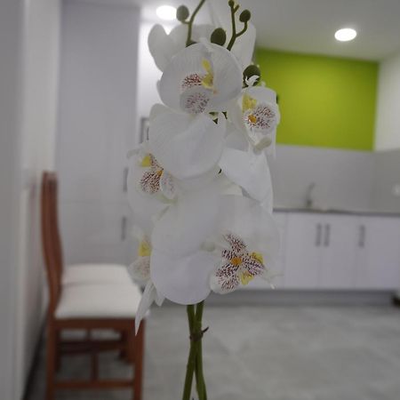 Apartamento Sanin 3 Lumbrales Extérieur photo
