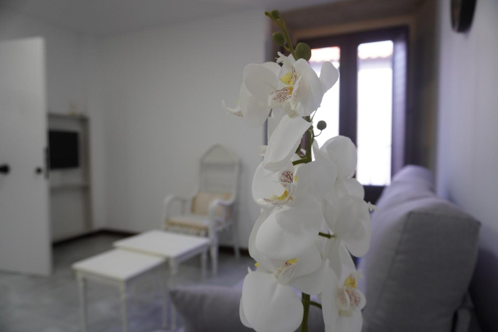 Apartamento Sanin 3 Lumbrales Extérieur photo